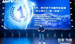 成都十周年爆料新闻视频,回顾辉煌历程，展望未来蓝图